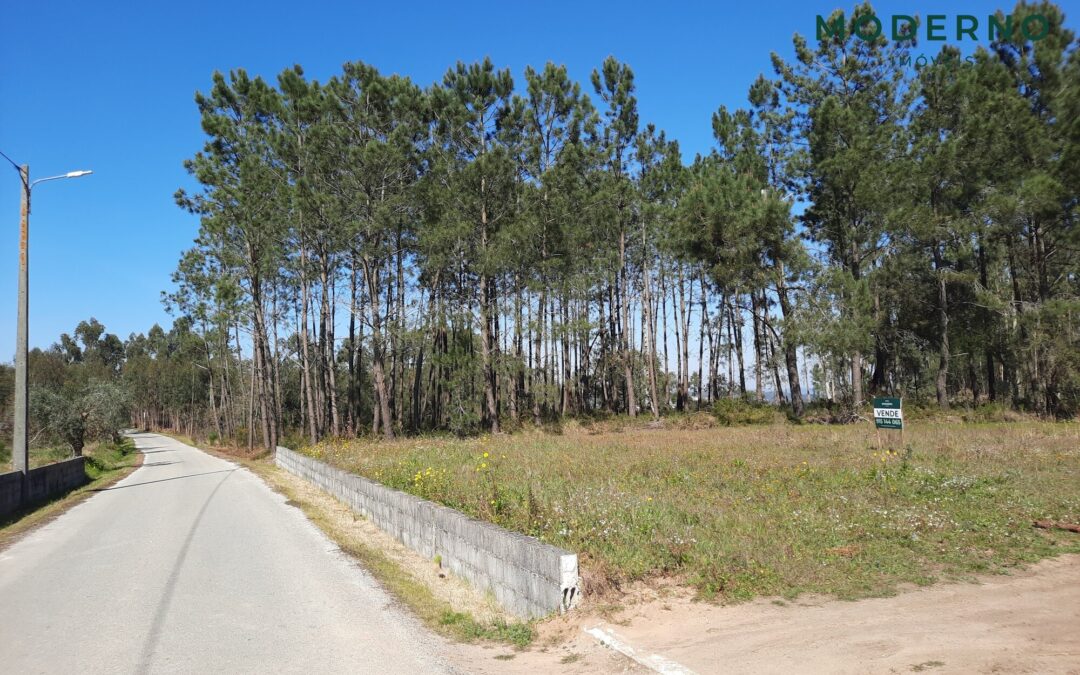 Terreno de Construção 1600m2 – Biqueiras